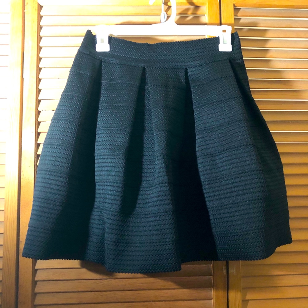 Express A-Line Black Pleated Skirt